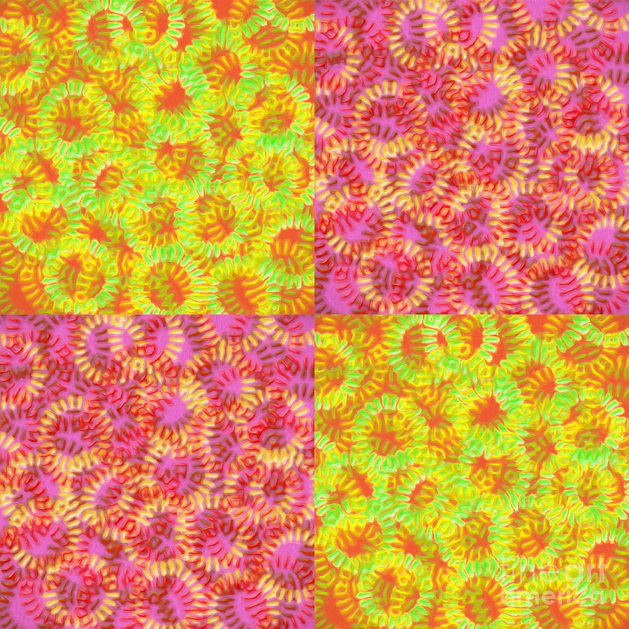 Patchwork Square Rings 9 And 10 Digital Art by Andee Design