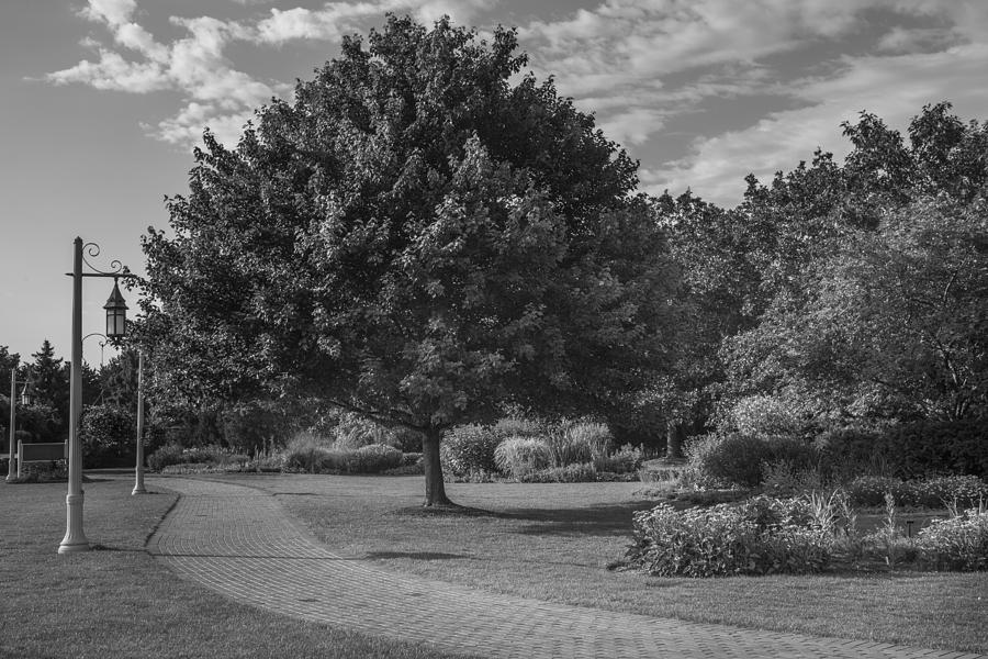 Michigan State University Photograph - Path at Michigan State University Garden  by John McGraw
