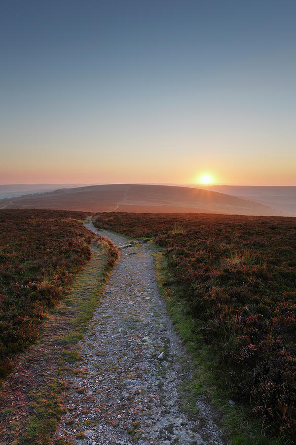 Path At Sunset Photograph by James Osmond