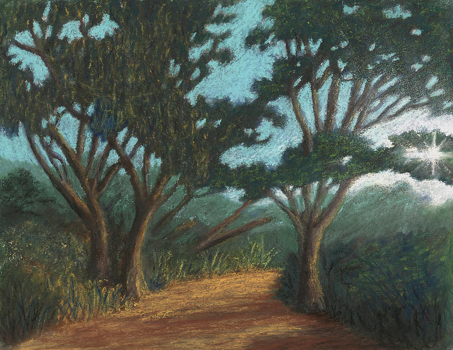 Path By Lake Murray 01 Pastel by Michael Heikkinen
