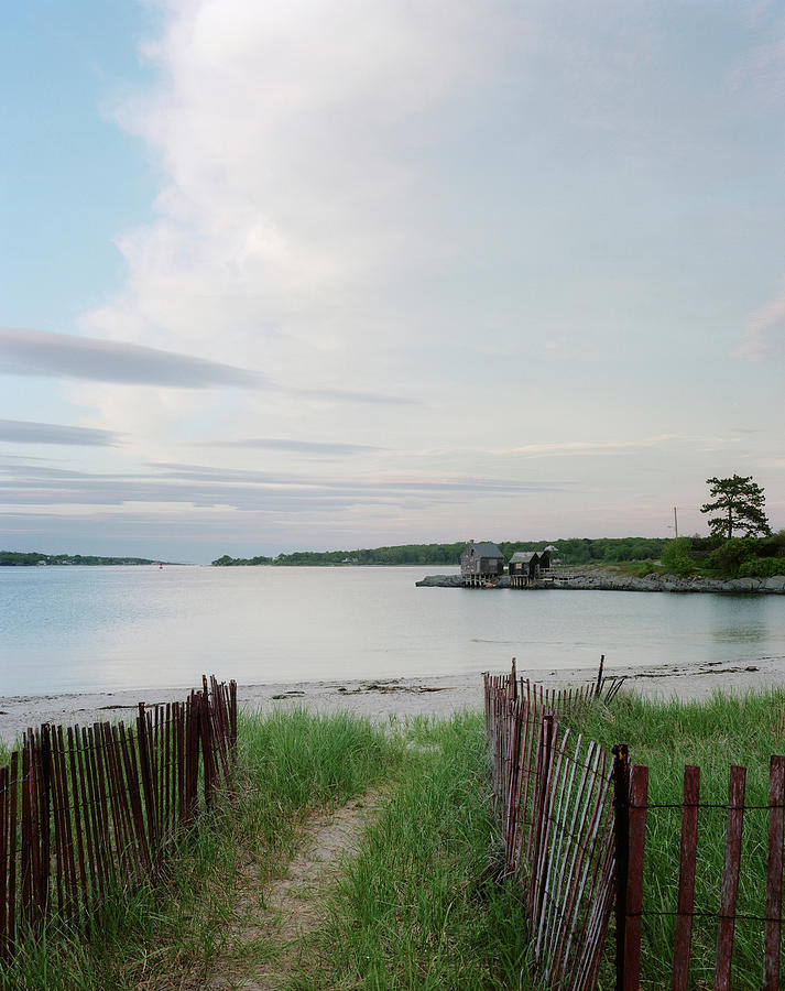 Path Down To Willard Beach At Sunset Photograph by Mark Marchesi