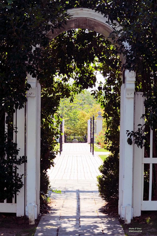 Path From an Arched Entrance Photograph by Maria Urso
