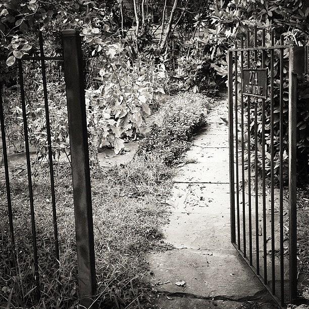 Newyork Photograph - Path Grows Forgotten.
door Rusts by Matthew Bryan Beck