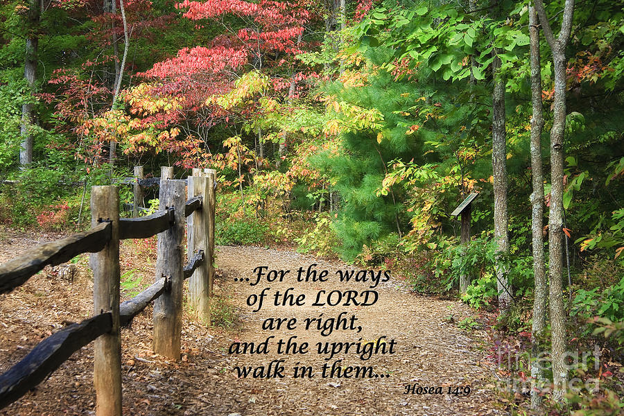 Path in Autumn Scripture Photograph by Jill Lang