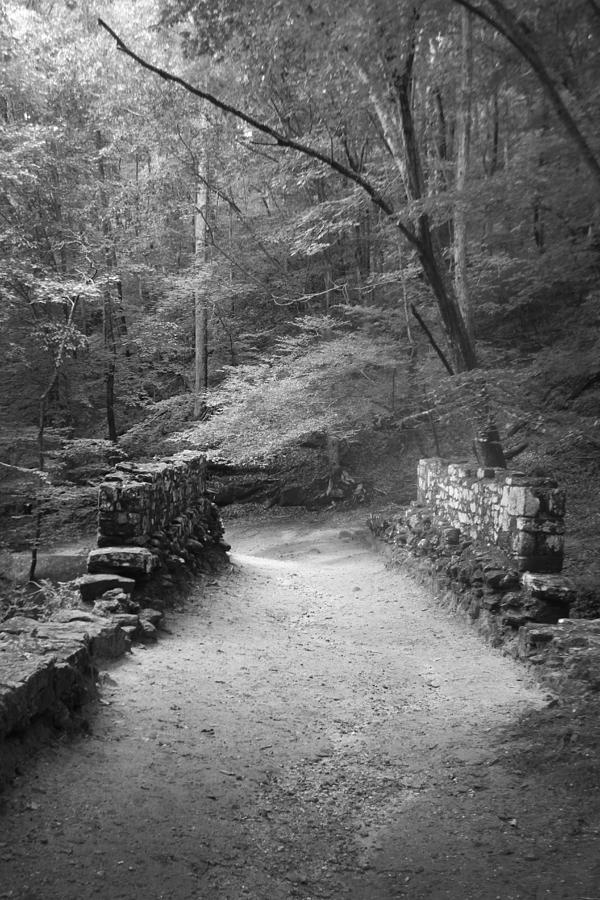 Path in Black and White Photograph by Kelly Hazel