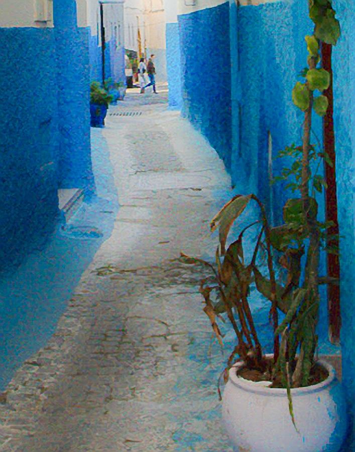 Path in Morocco Photograph by Peggy Blackwell