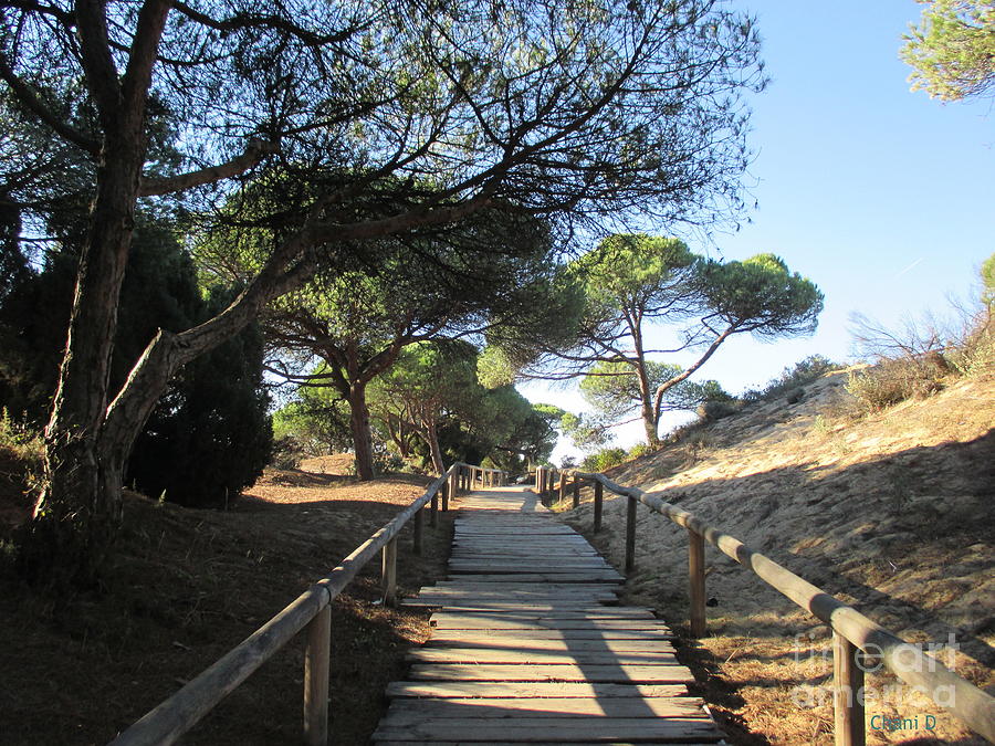Path in Punta Umbria Photograph by Chani Demuijlder