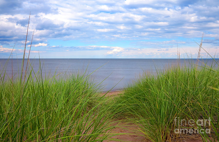 Path in the Beach Grass Photograph by Hermes Fine Art