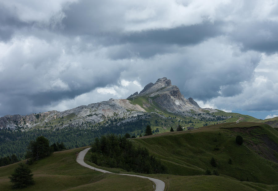 Path in the Dolomites Photograph by Vance Bell