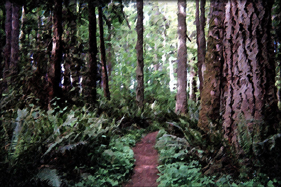 Path in the Forest Digital Art by Christopher Bage