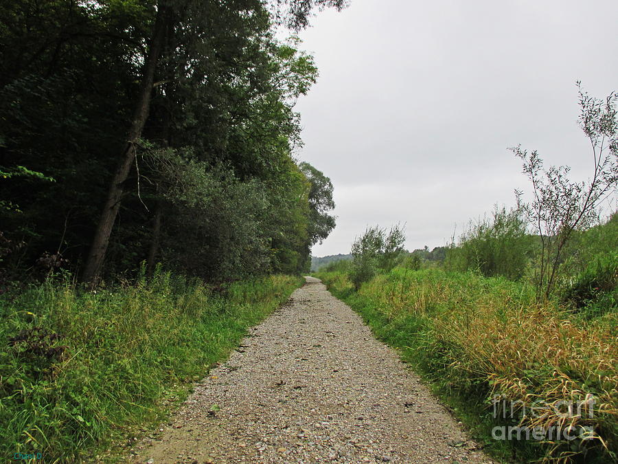 Path near Augsburg Photograph by Chani Demuijlder