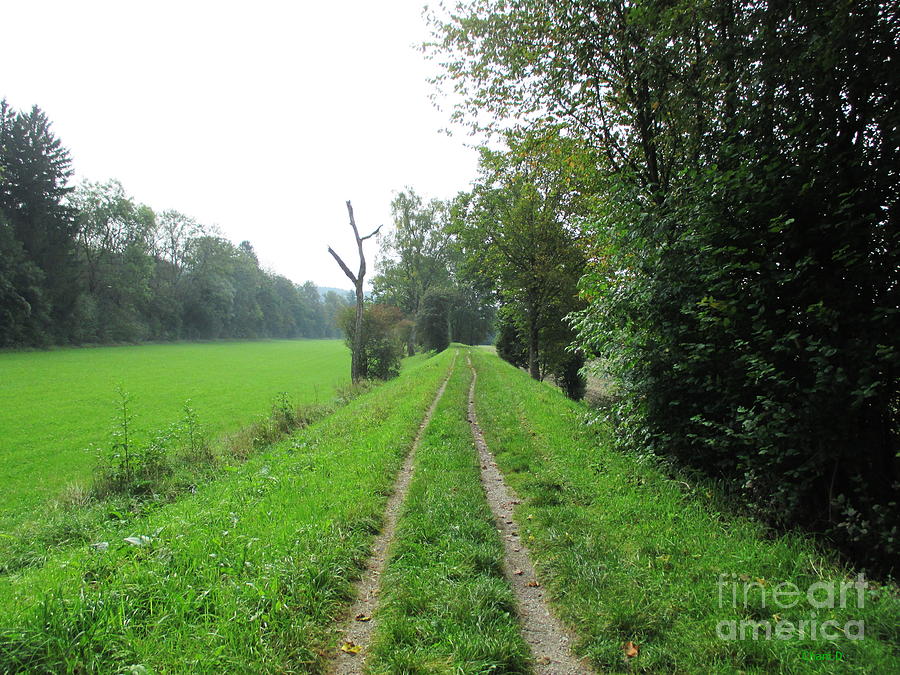 Path near Munich Photograph by Chani Demuijlder