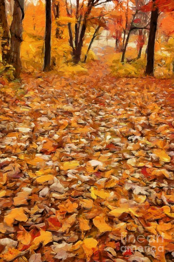 Path of Fallen Leaves Photograph by Edward Fielding