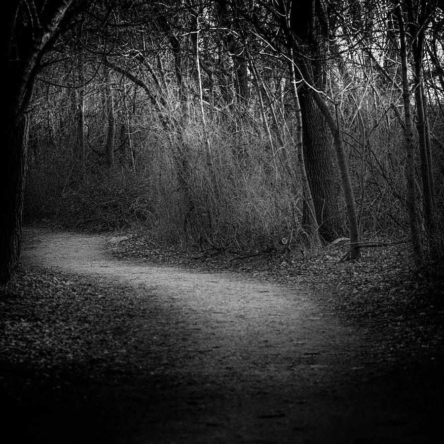 Path of Mystique Photograph by John Daly