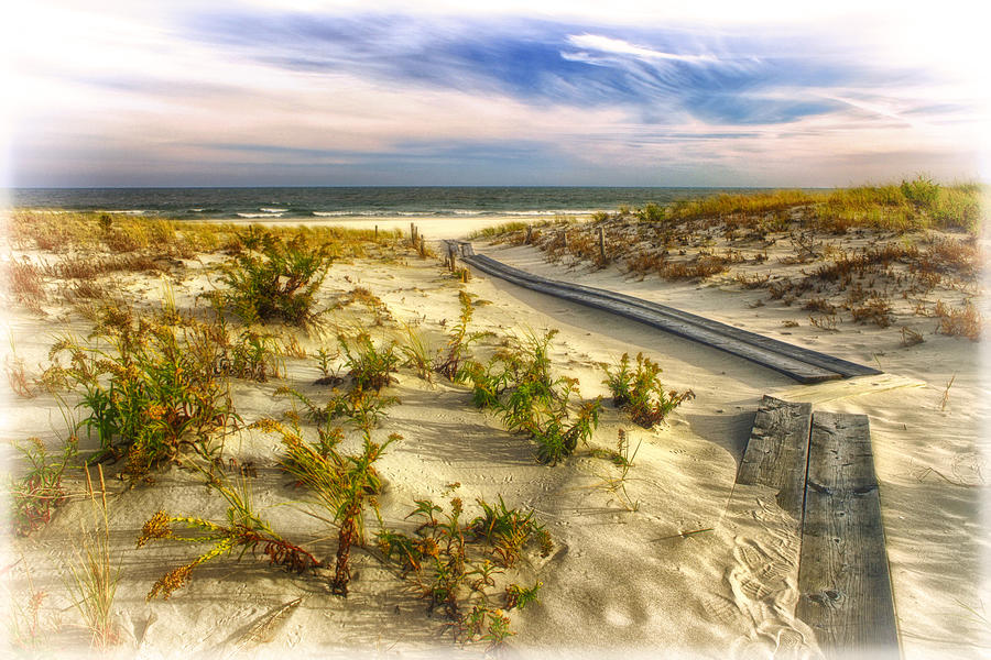 Path over the Dunes Photograph by Carolyn Derstine