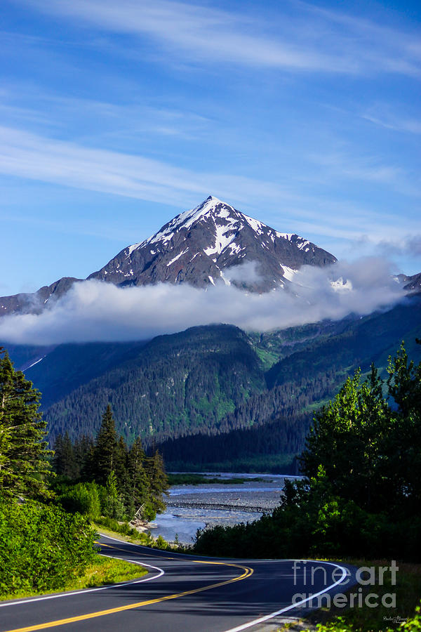 Path through Alaska Photograph by Jennifer White