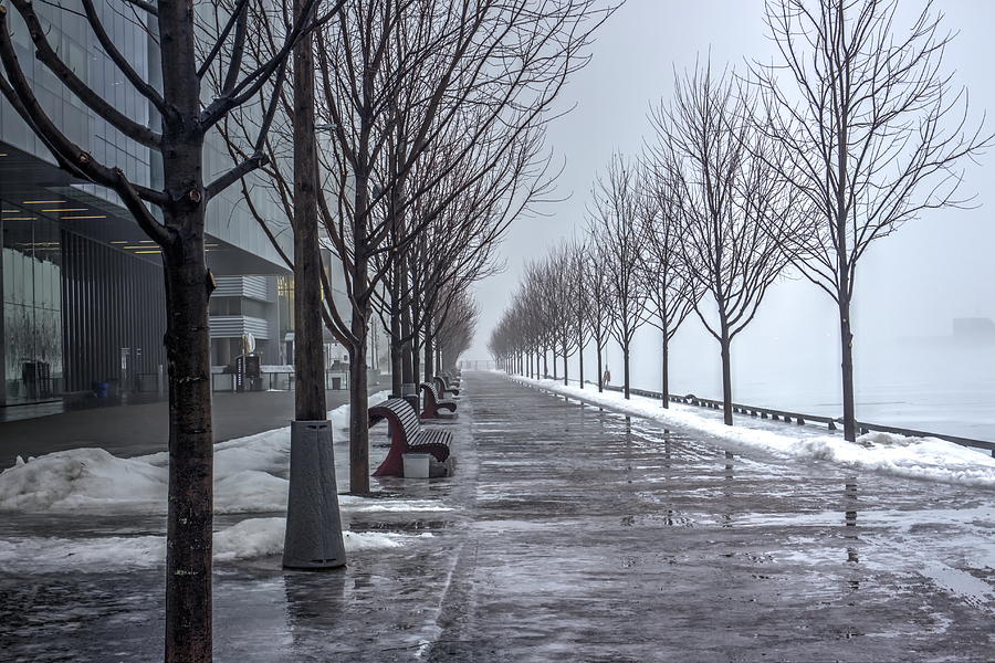 Path Through Fog Photograph by Nicky Jameson
