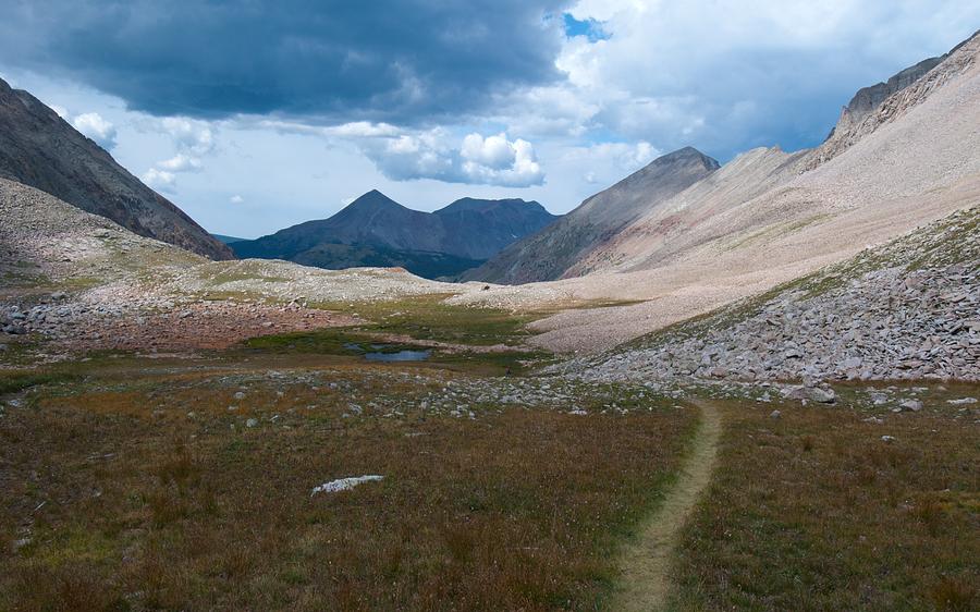 Path Through the Alpine Photograph by Cascade Colors