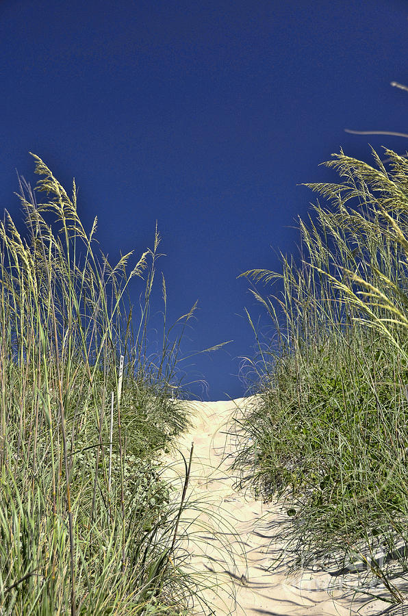 Path Through the Dunes Photograph by Allen Beatty