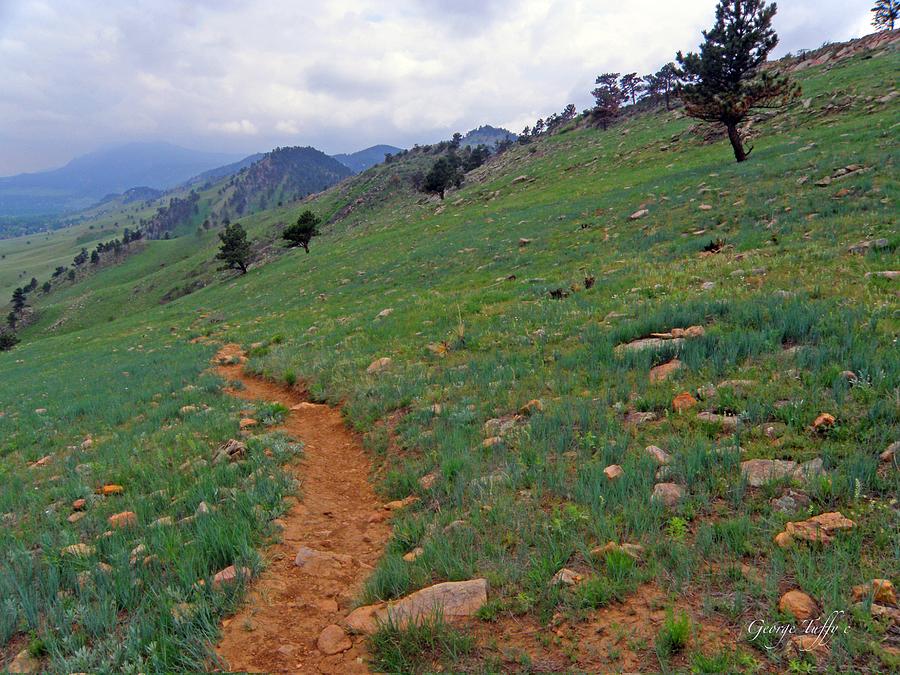Path to Boulder Photograph by George Tuffy