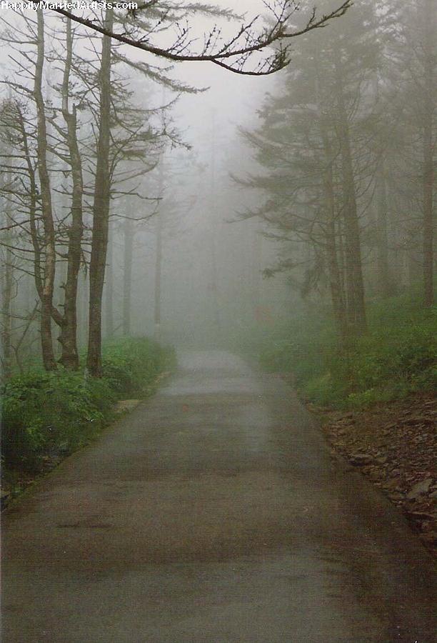 Path To Clingmans Dome by Karin Thue Path To Clingmans Dome by Karin Thue