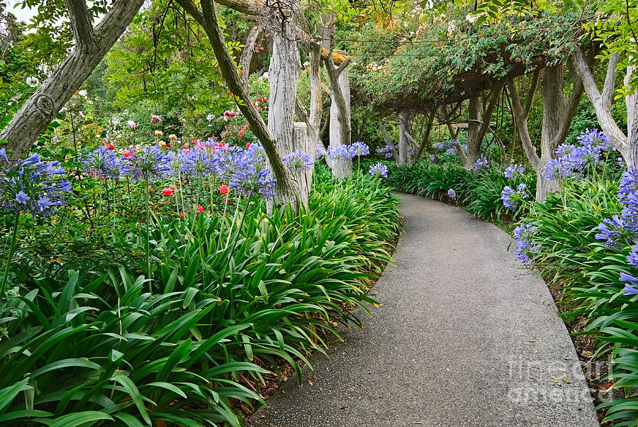 Path to Eden - Beautiful walkway towards a lush garden with blooming  flowers. by Jamie Pham