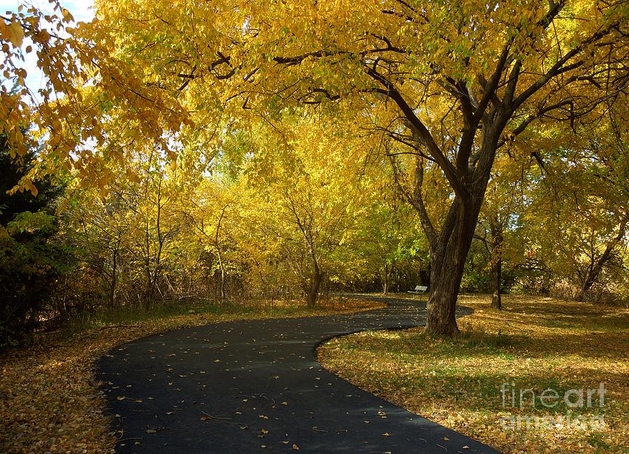 Fall Photograph - Path to falll by Crystal Socha