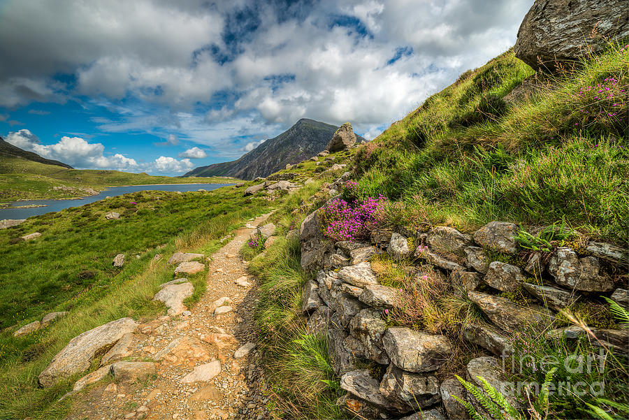 Path to Lake Idwal Photograph by Adrian Evans