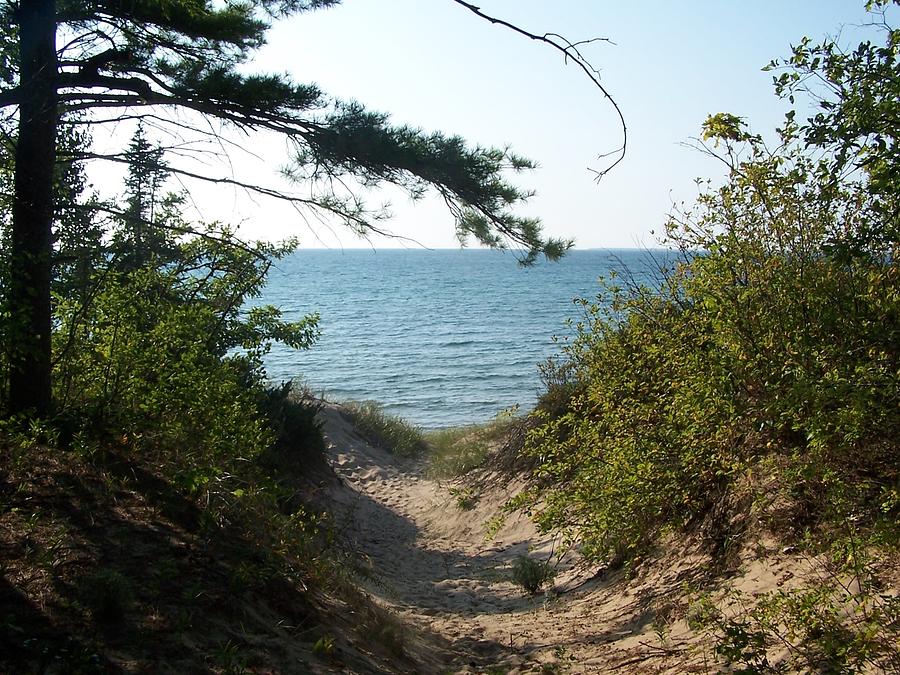 Path to Lake Michigan Photograph by Kathleen Luther
