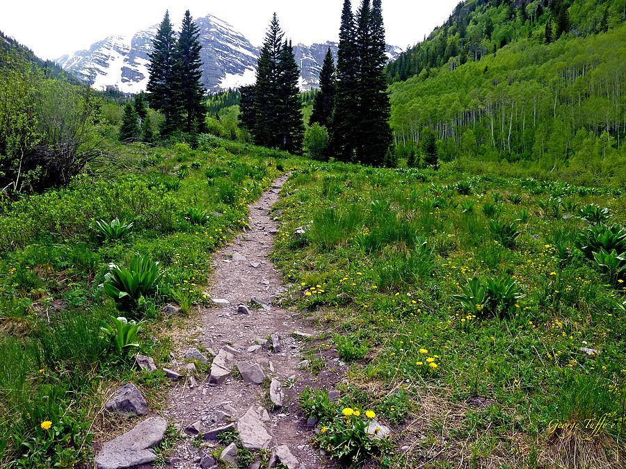 Path to Maroon bells Photograph by George Tuffy
