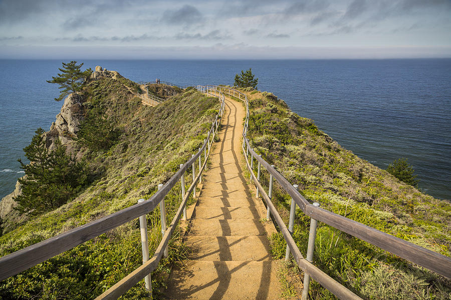 Path to Muir Beach Overlook Photograph by Adam Romanowicz
