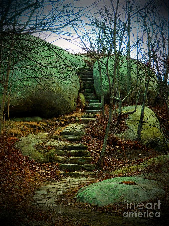 Landscape Photograph - Path to Munchkinville by Marcia Lee Jones
