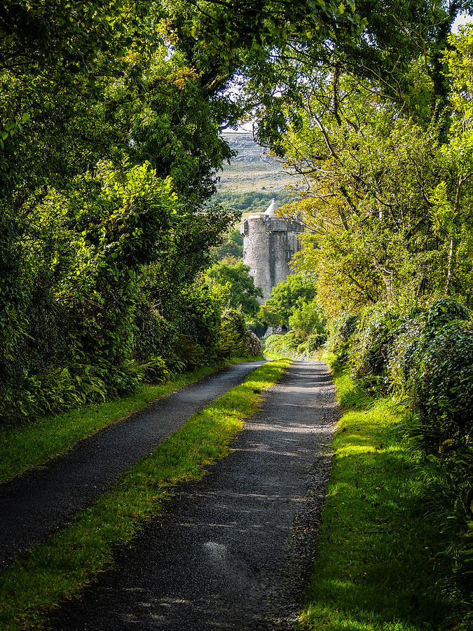 Path to Newtown Castle Photograph by James Truett