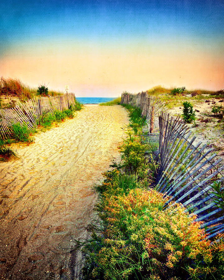 Path to the Beach Photograph by Carolyn Derstine
