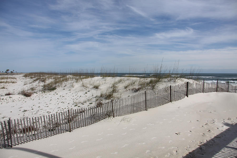 Path to the beach Photograph by Heidi Brandt - Fine Art America