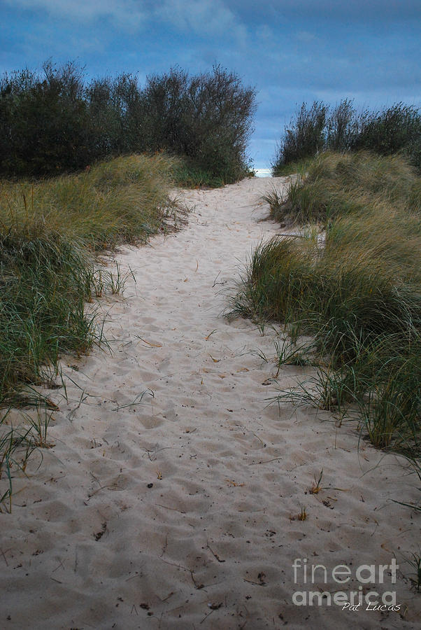 Path to the Dunes Photograph by Pat Lucas