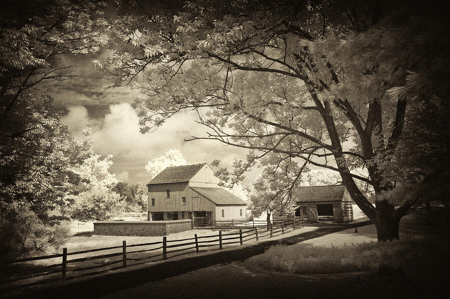Tree Photograph - Path to the old barn by Paul W Faust -  Impressions of Light