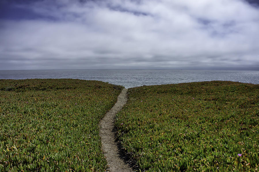Path to the Pacific Photograph by Weir Here And There