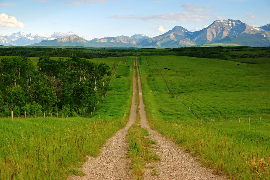 Path to the Rockies Photograph by Daniel Woodrum