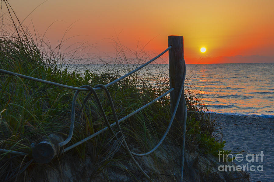 Beach Photograph - Path to the Sun by Amanda Sinco
