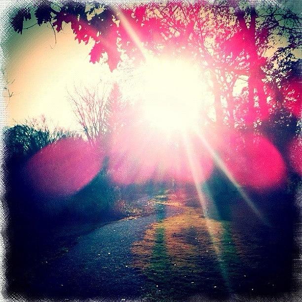 Fall Photograph - Path to the Sun by Stefanie Roberts