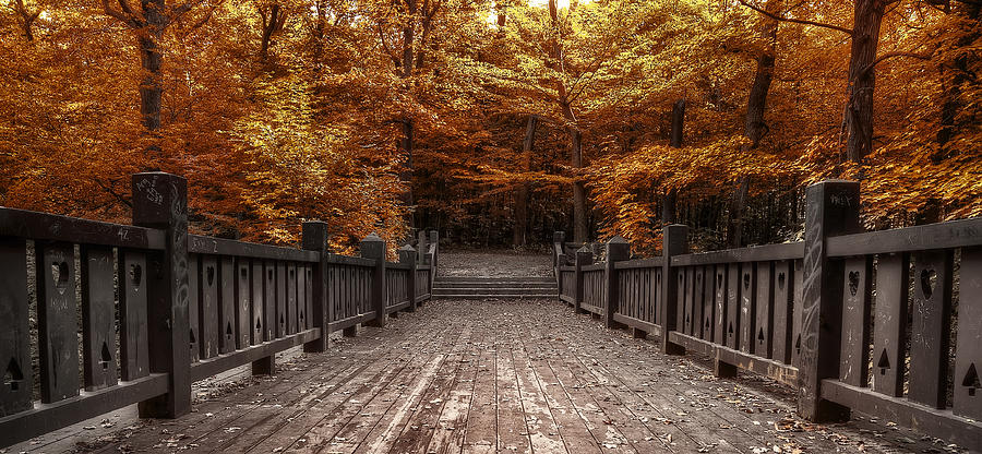Landscape Photograph - Path to the Wild Wood by Scott Norris