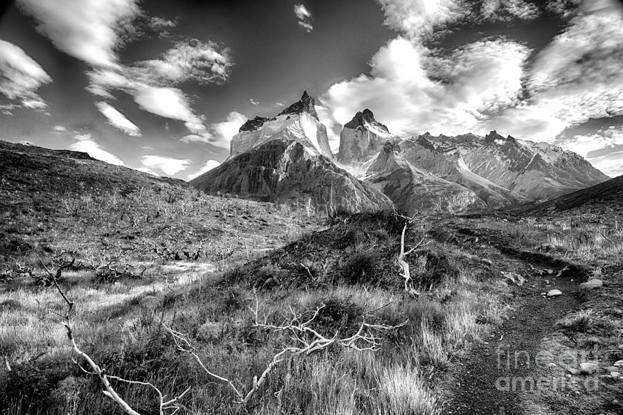 Path To Torres del Paine BW Photograph by Timothy Hacker