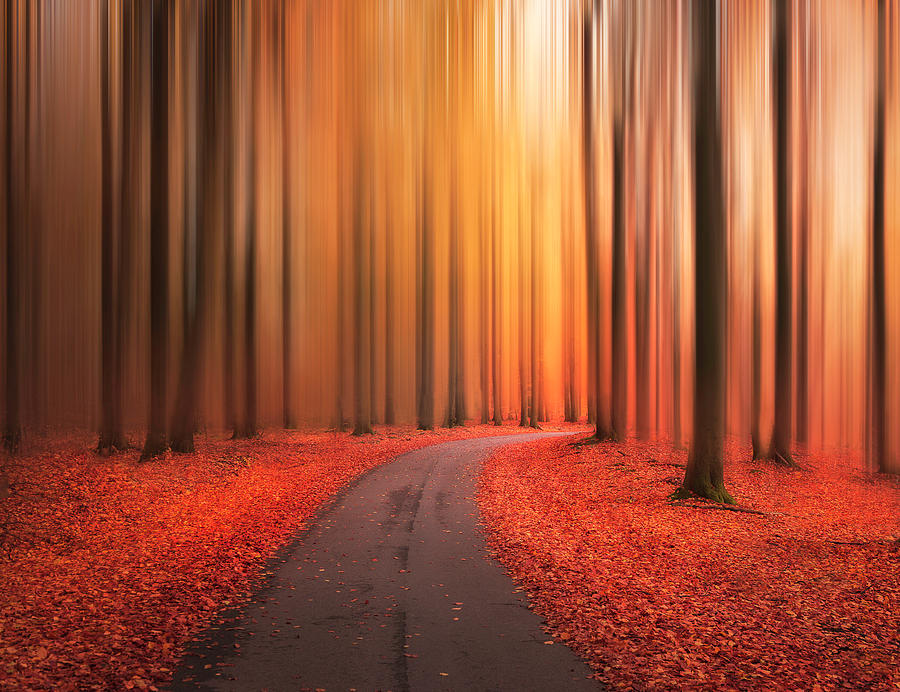 Red Photograph - Path To Unknown by Christian Lindsten
