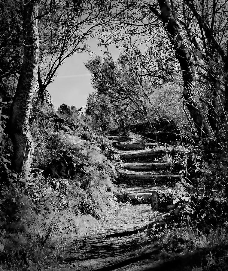 Path With Steps Photograph by Robert Woodward