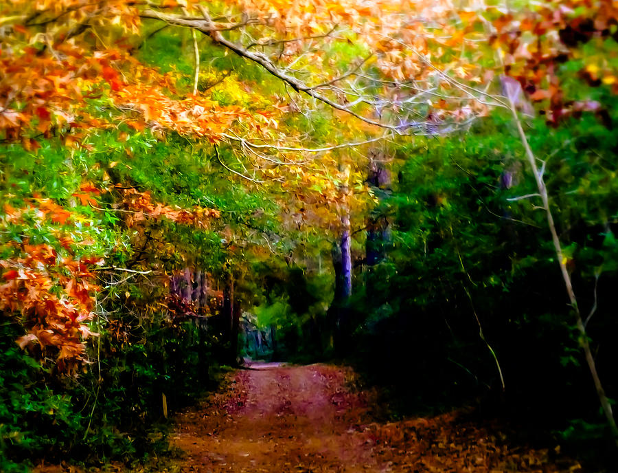 Paths Photograph - Paths We Choose by Karen Wiles Paths Photograph - Paths We Choose by Karen Wiles