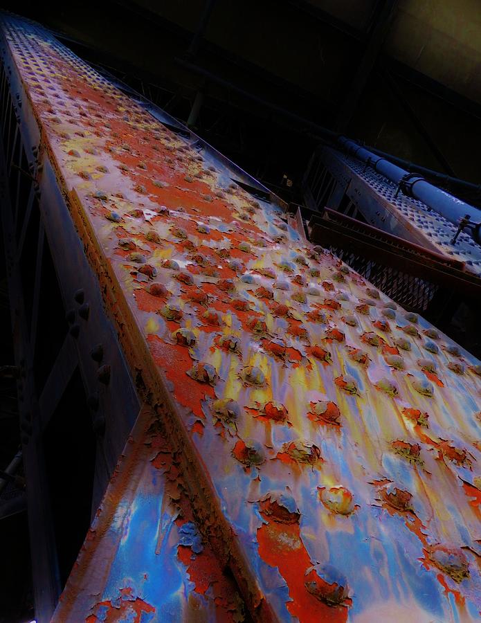 Pathway of Rust Photograph by Charles Lucas