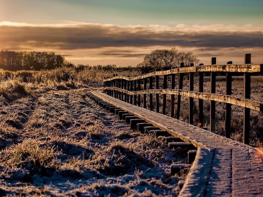 Pathway over dyarna Enkoping on December 28 2014 about 2 pm. Photograph by Leif Sohlman
