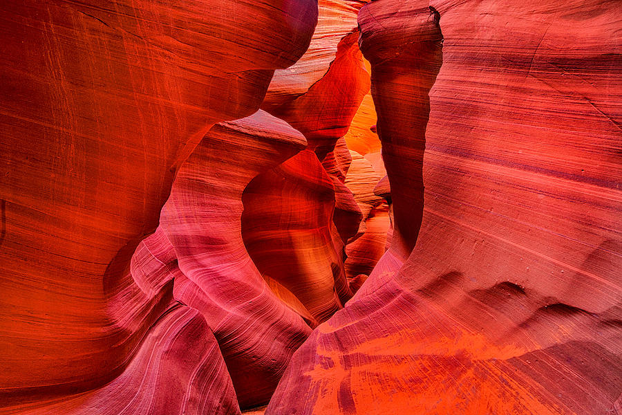 Antelope Canyon Photograph - Pathway to Beauty by Greg Norrell