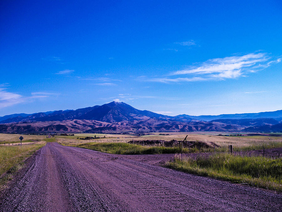 Pathway to Mountains Photograph by Mary Davies